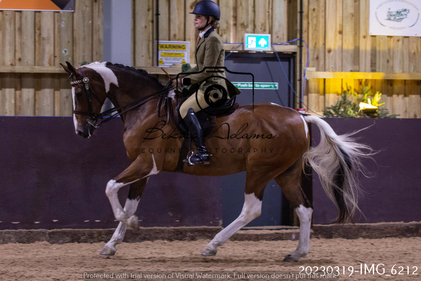 Home Farm Showing 19th March (Ridden) Pt 2
