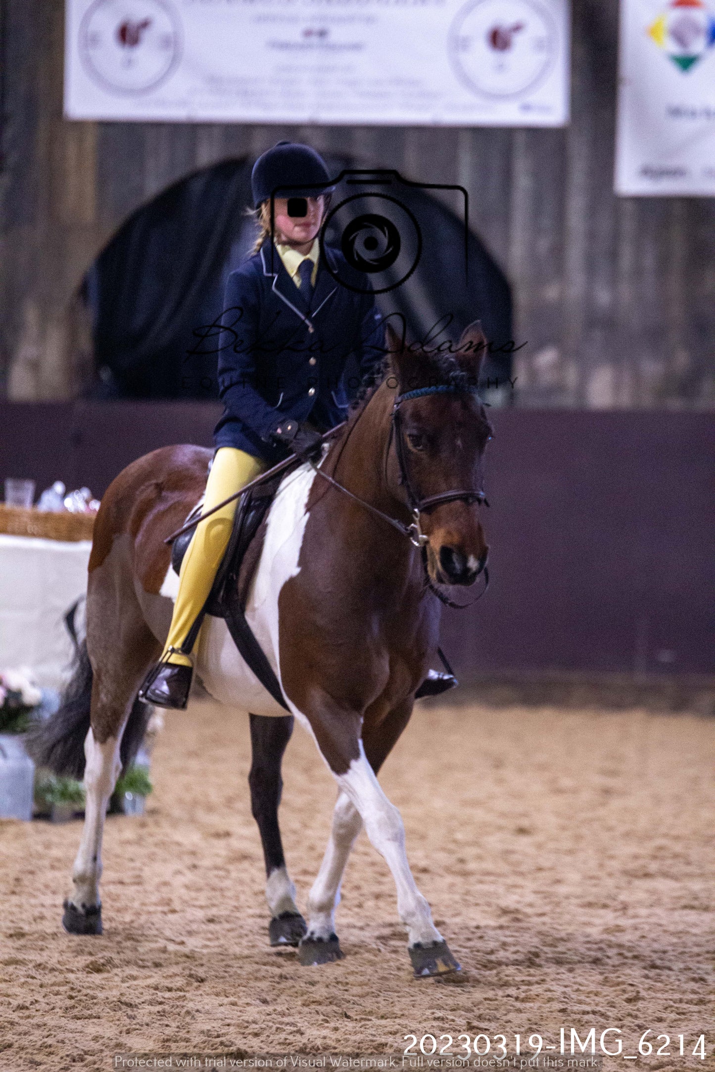 Home Farm Showing 19th March (Ridden) Pt 2