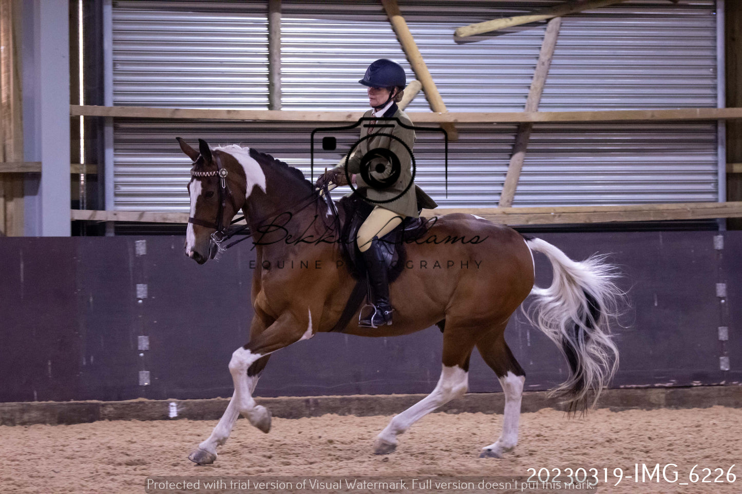 Home Farm Showing 19th March (Ridden) Pt 2