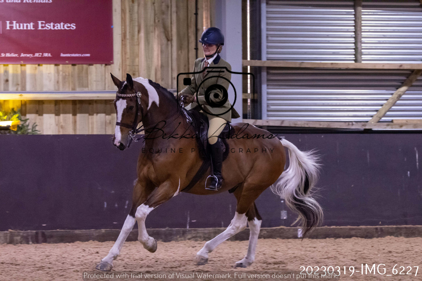 Home Farm Showing 19th March (Ridden) Pt 2