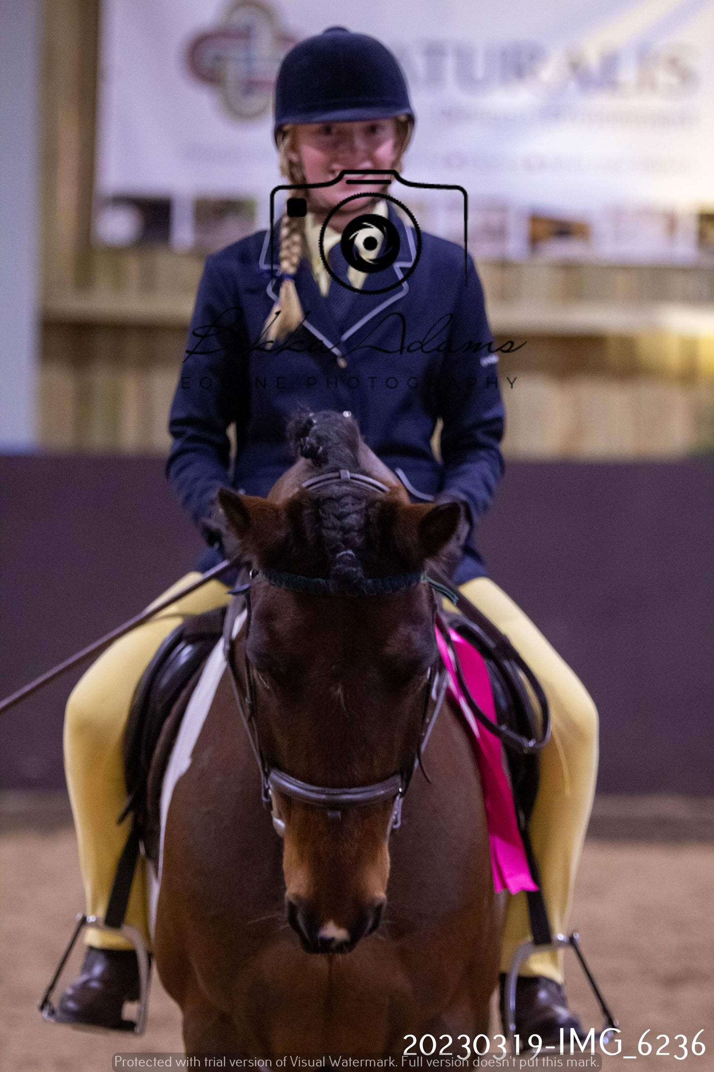 Home Farm Showing 19th March (Ridden) Pt 2