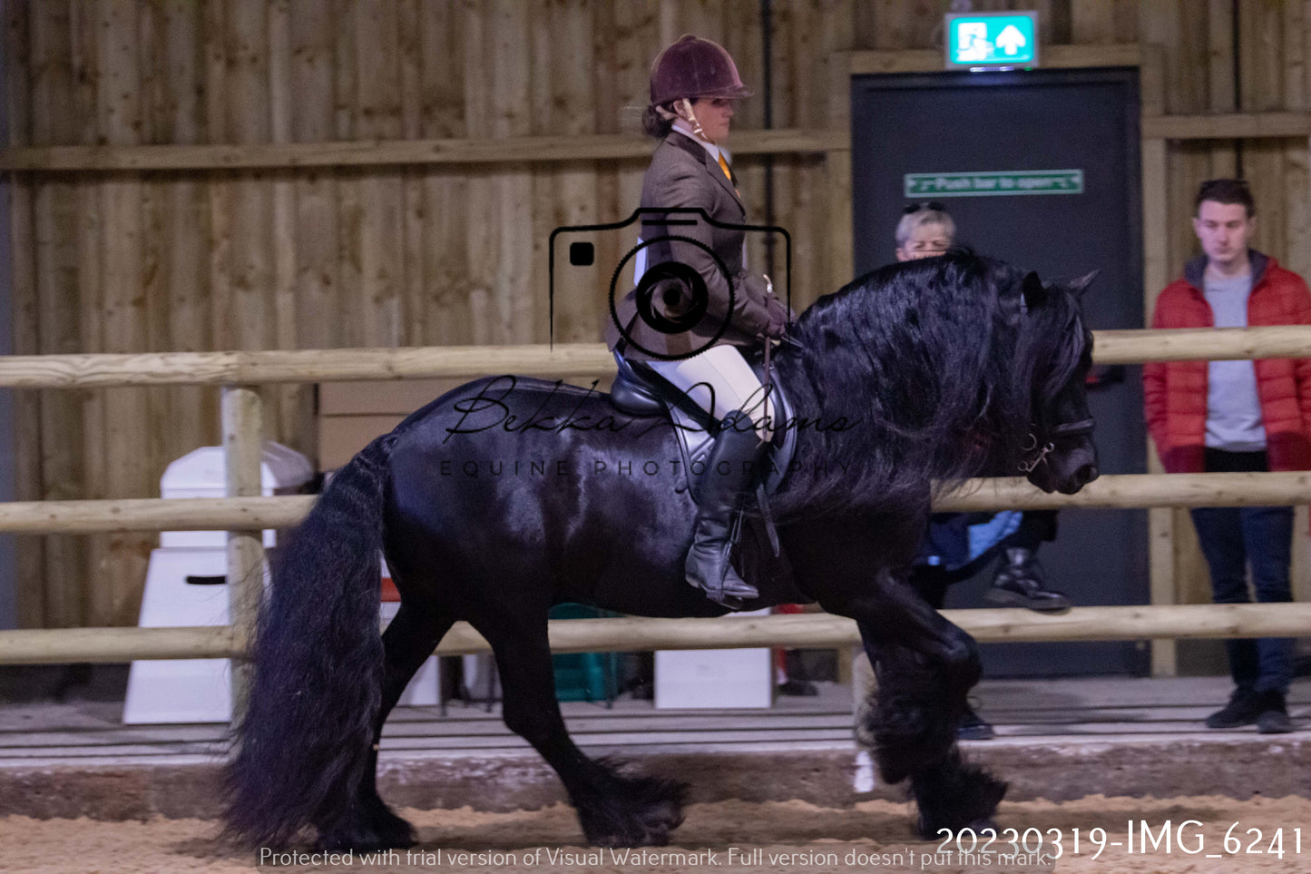 Home Farm Showing 19th March (Ridden) Pt 2
