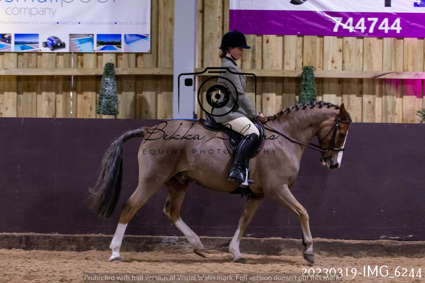 Home Farm Showing 19th March (Ridden) Pt 2