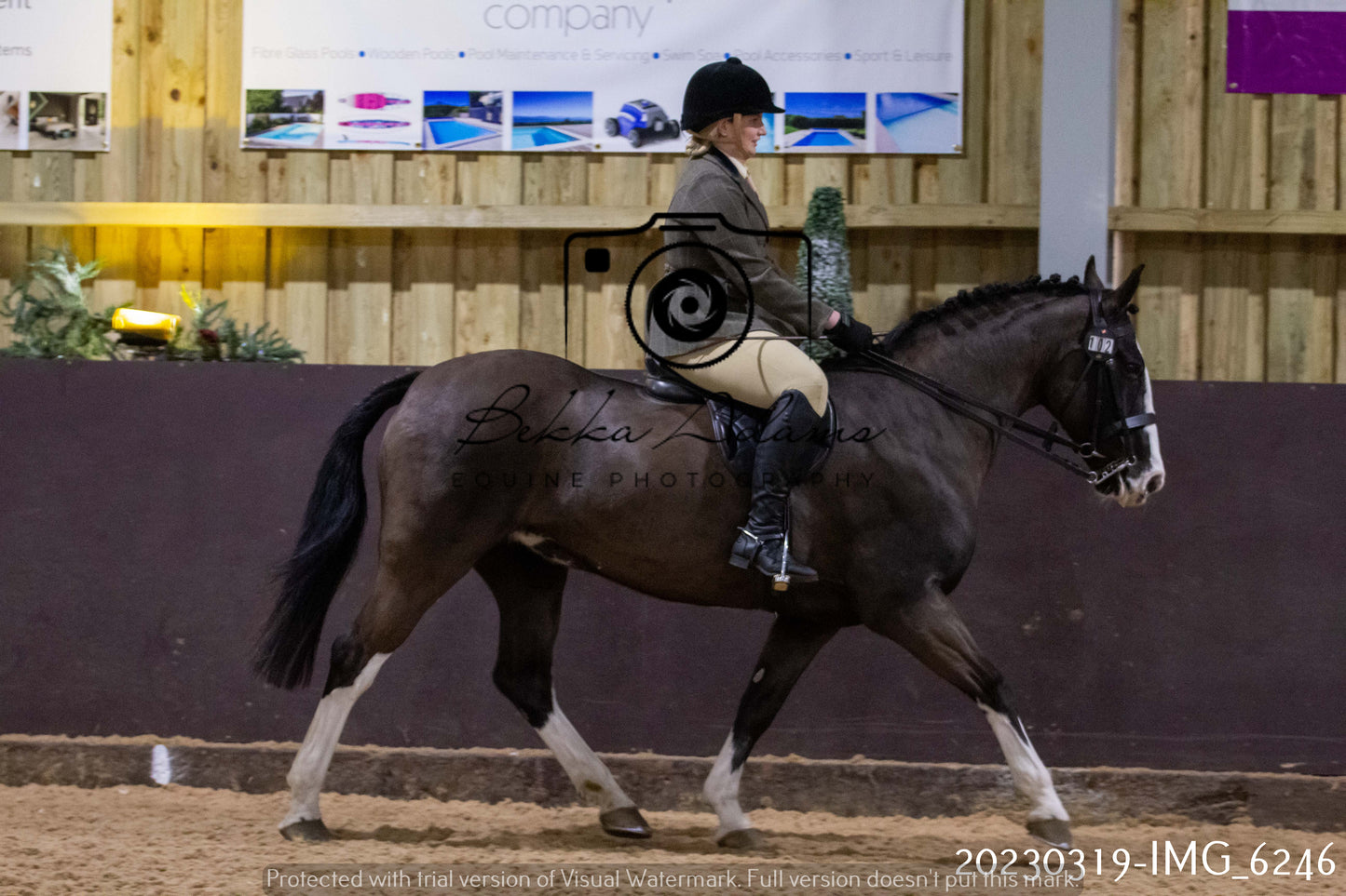 Home Farm Showing 19th March (Ridden) Pt 2