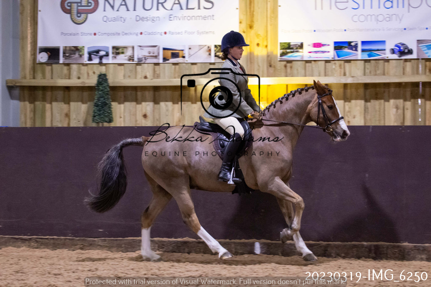 Home Farm Showing 19th March (Ridden) Pt 2