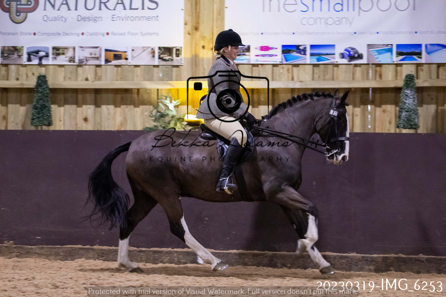 Home Farm Showing 19th March (Ridden) Pt 2