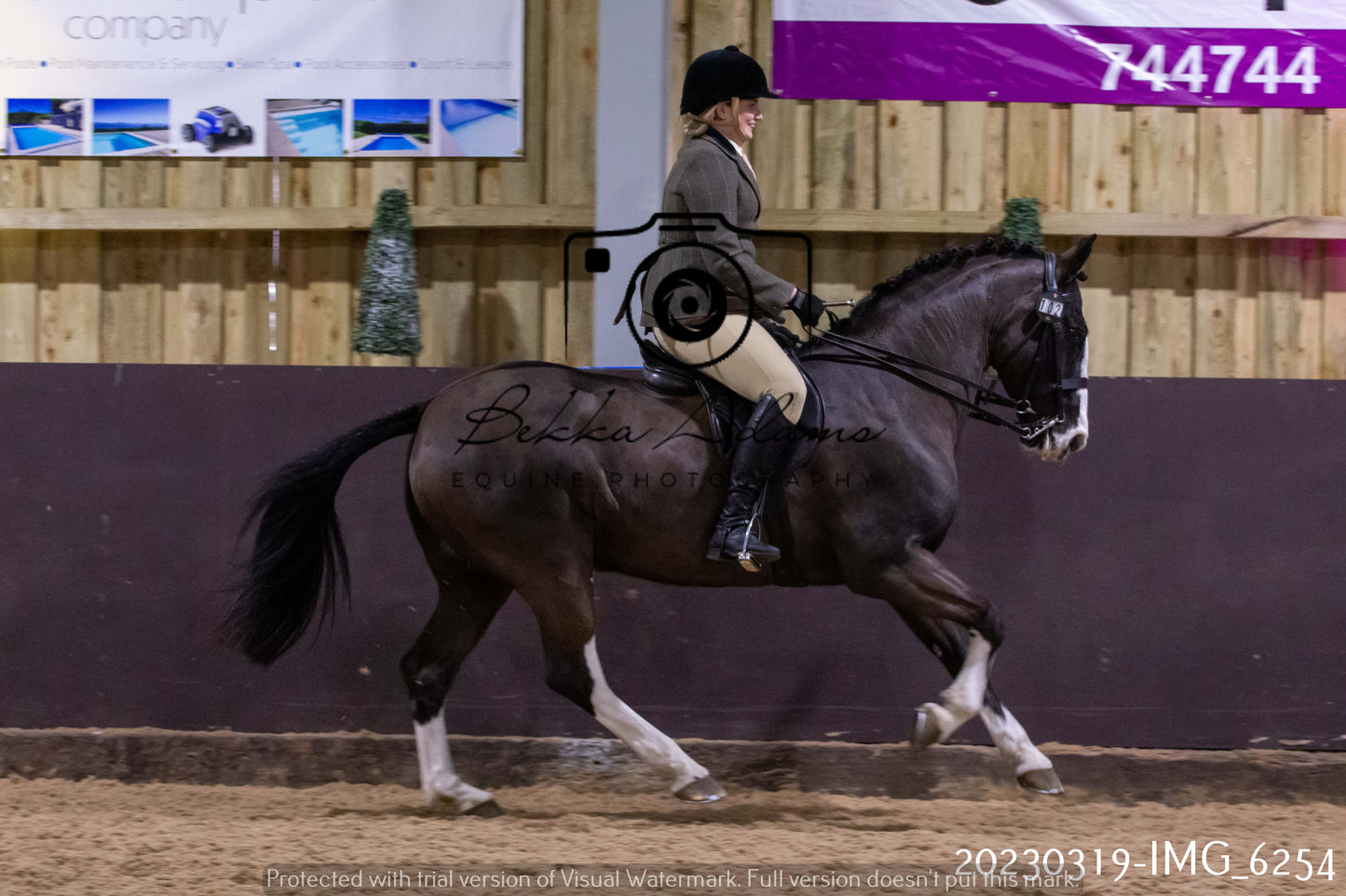 Home Farm Showing 19th March (Ridden) Pt 2