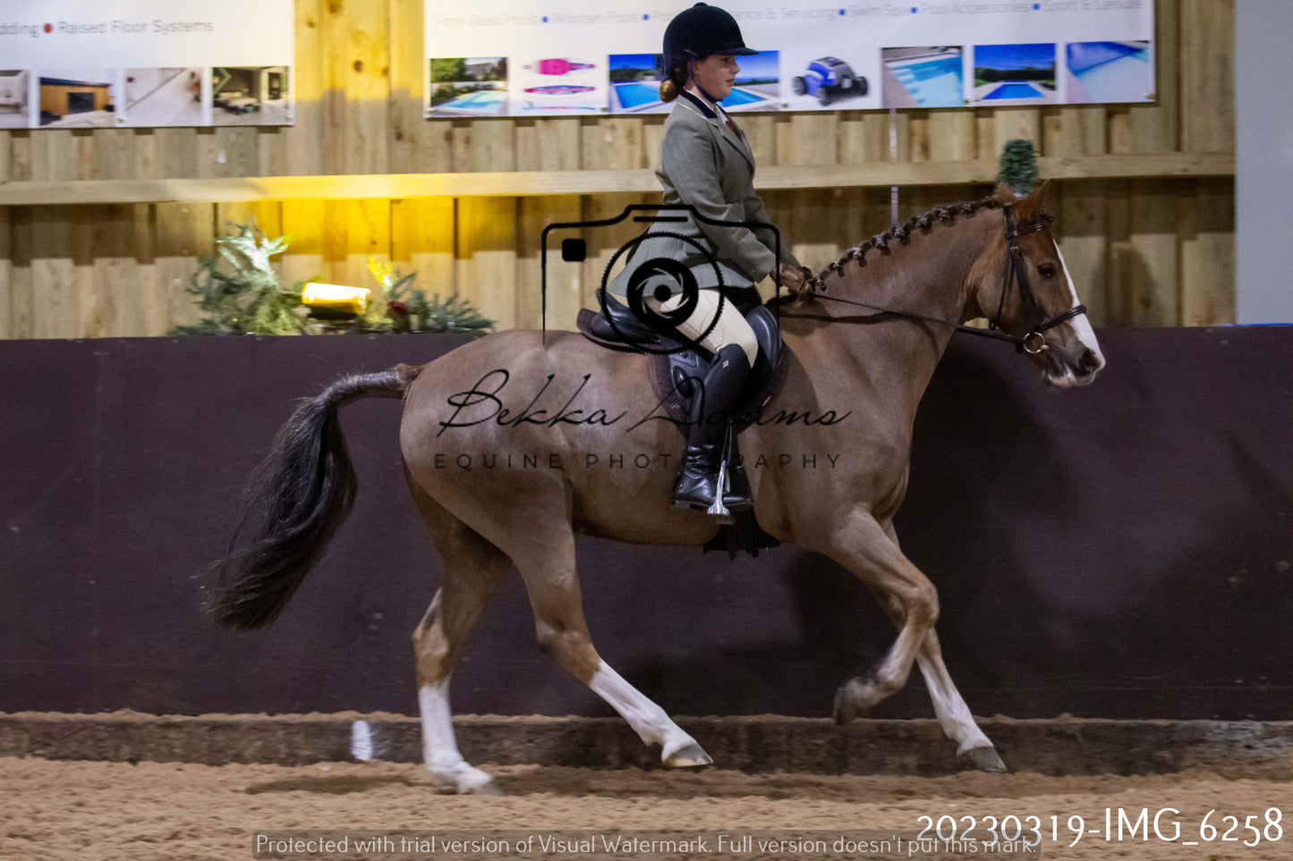 Home Farm Showing 19th March (Ridden) Pt 2