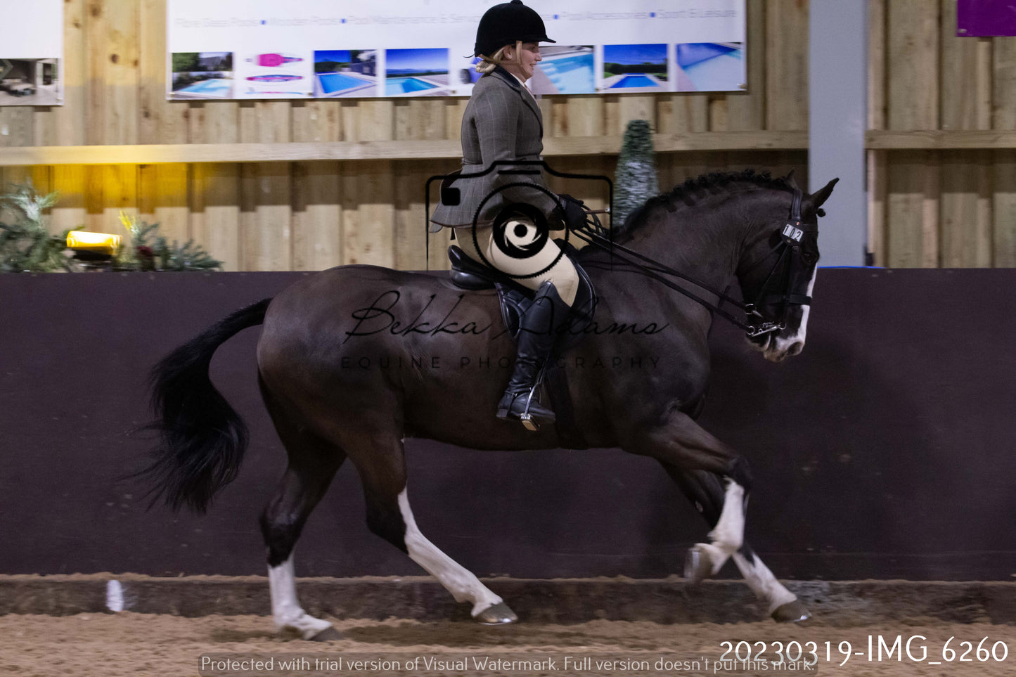 Home Farm Showing 19th March (Ridden) Pt 2