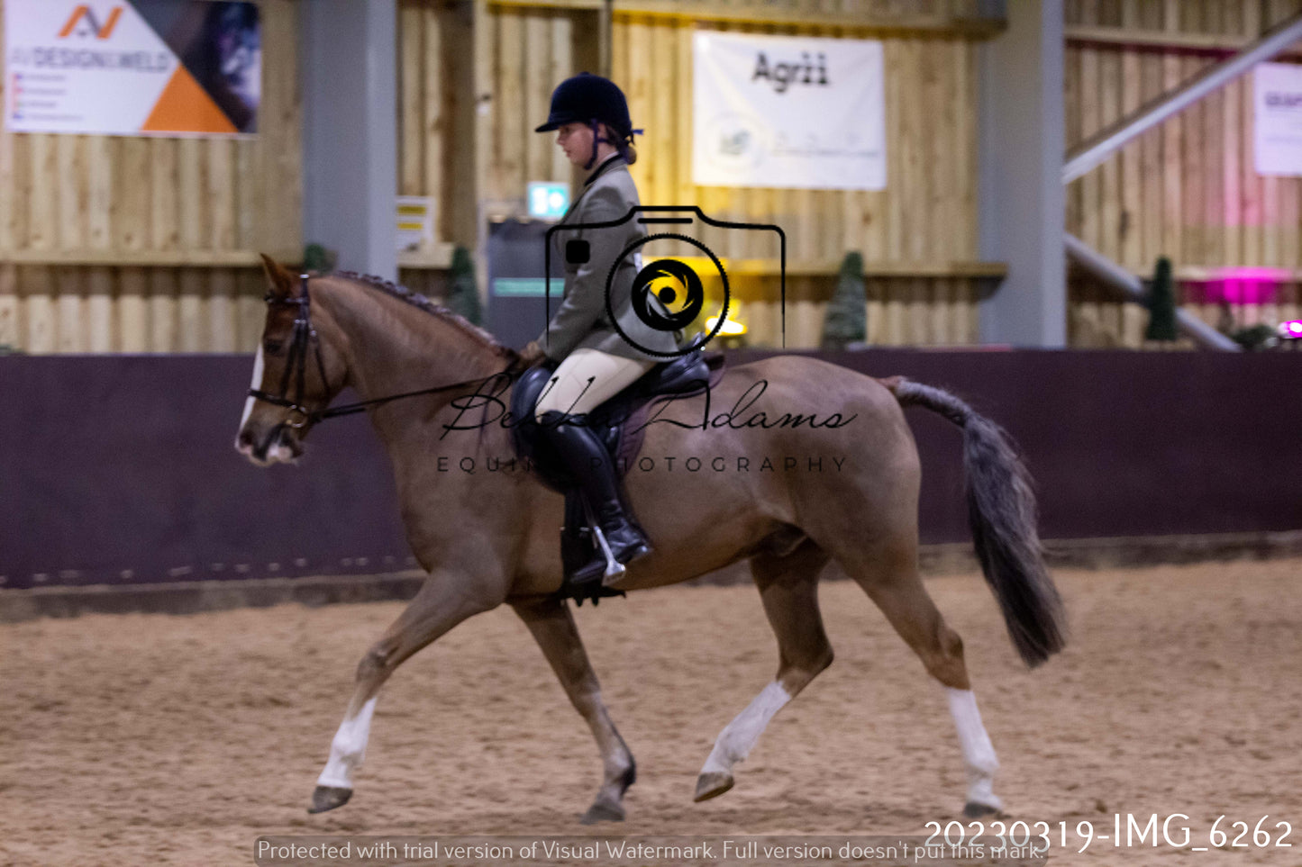 Home Farm Showing 19th March (Ridden) Pt 2