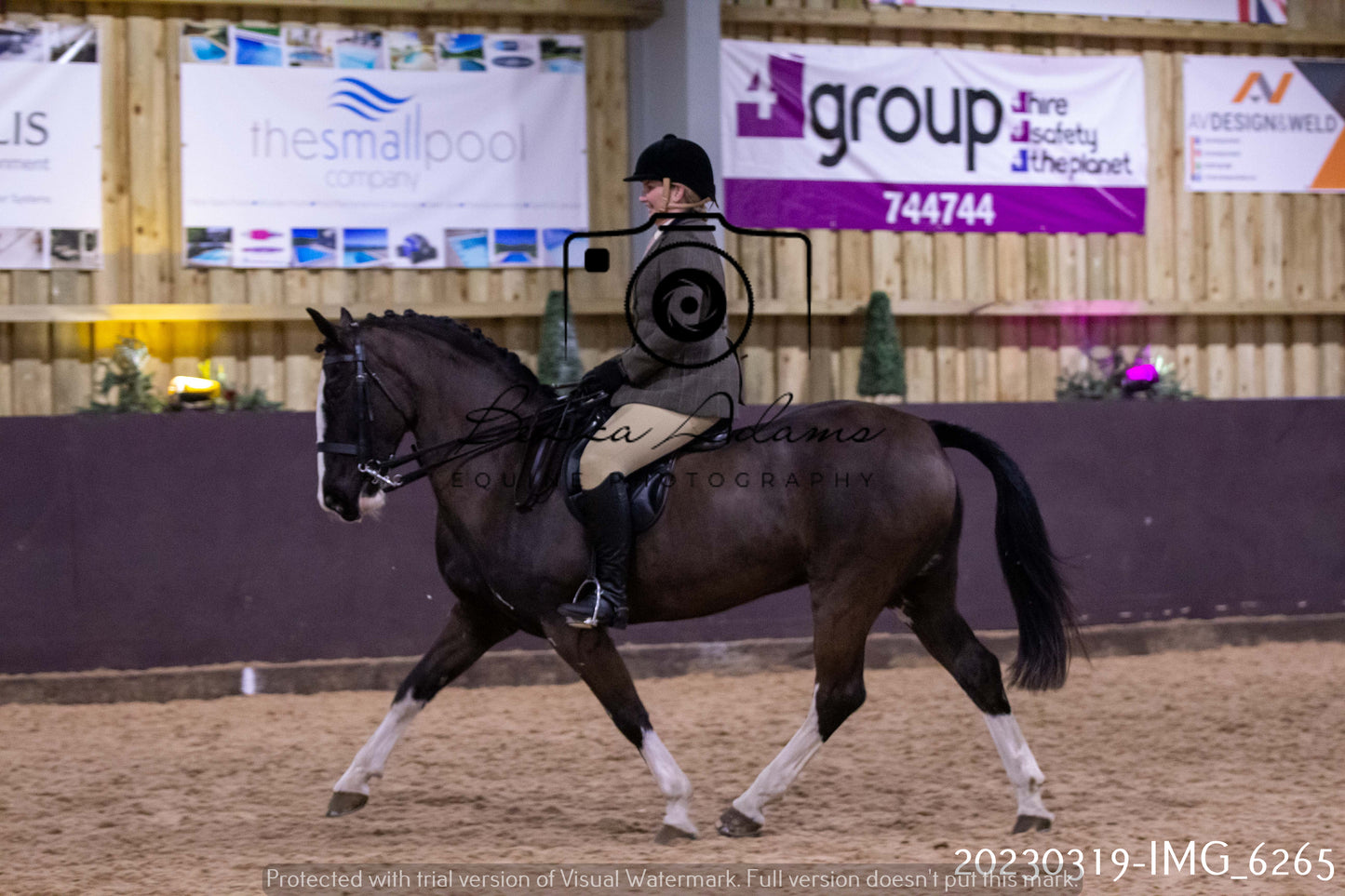 Home Farm Showing 19th March (Ridden) Pt 2