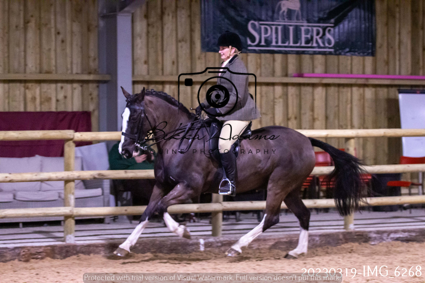 Home Farm Showing 19th March (Ridden) Pt 2