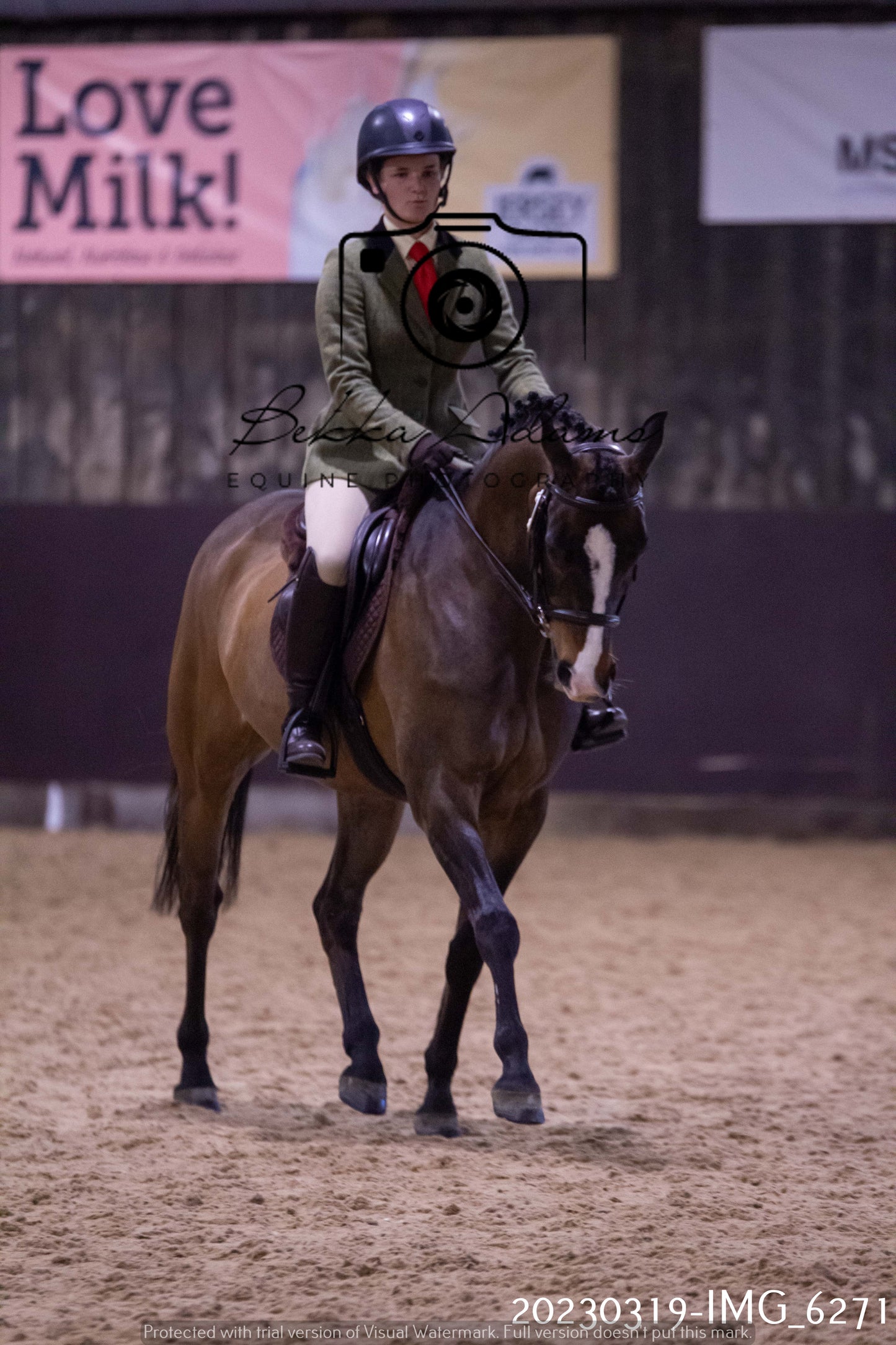Home Farm Showing 19th March (Ridden) Pt 2