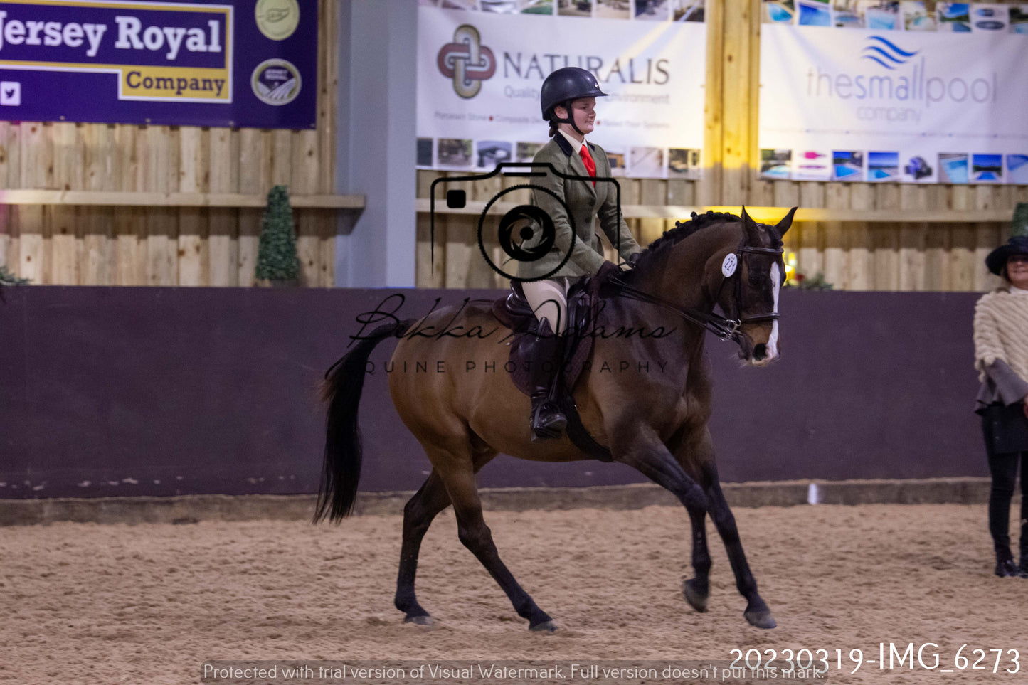 Home Farm Showing 19th March (Ridden) Pt 2