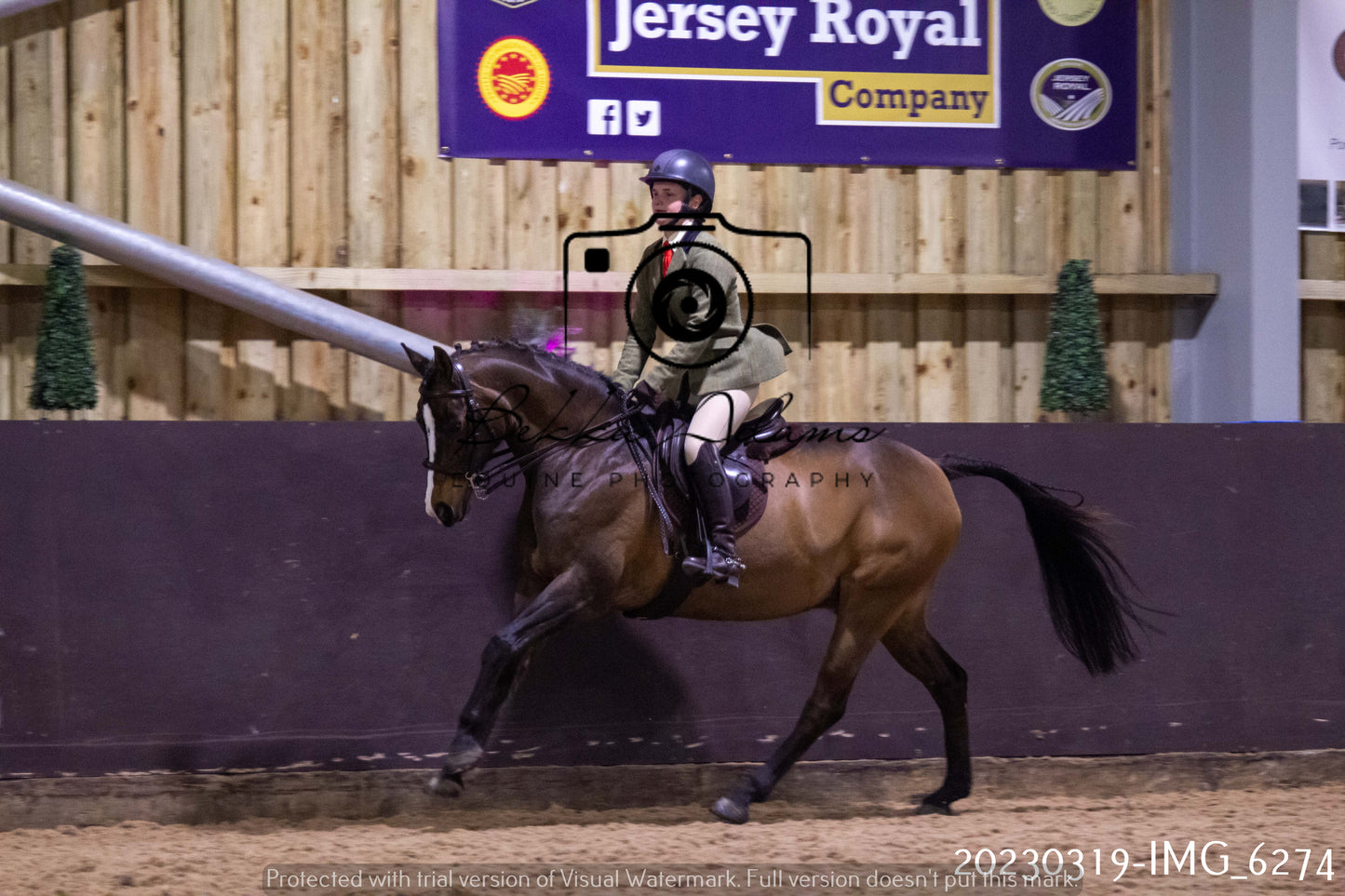 Home Farm Showing 19th March (Ridden) Pt 2