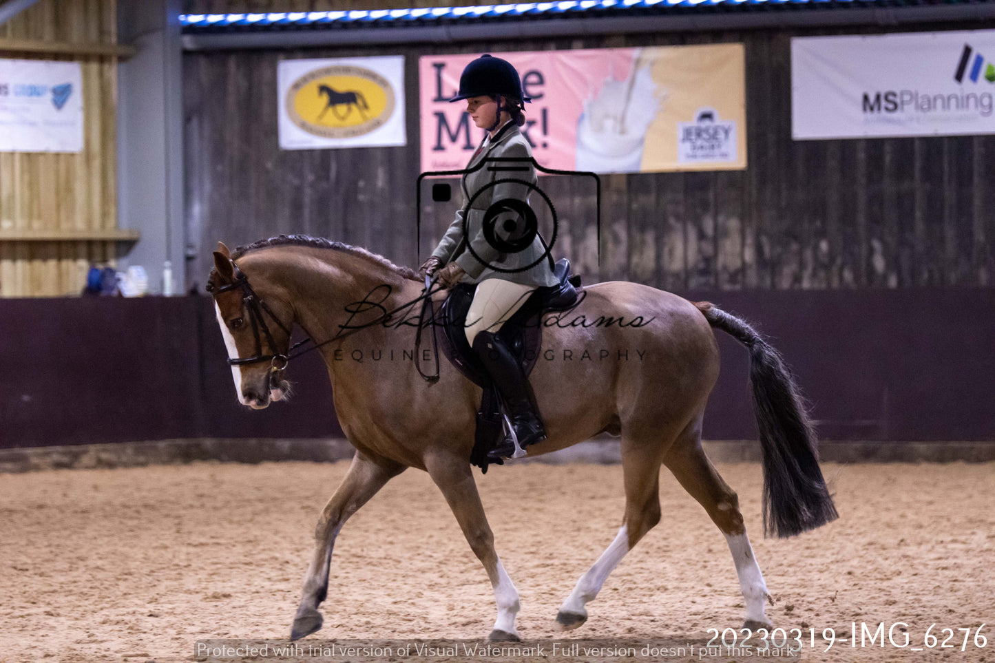 Home Farm Showing 19th March (Ridden) Pt 2