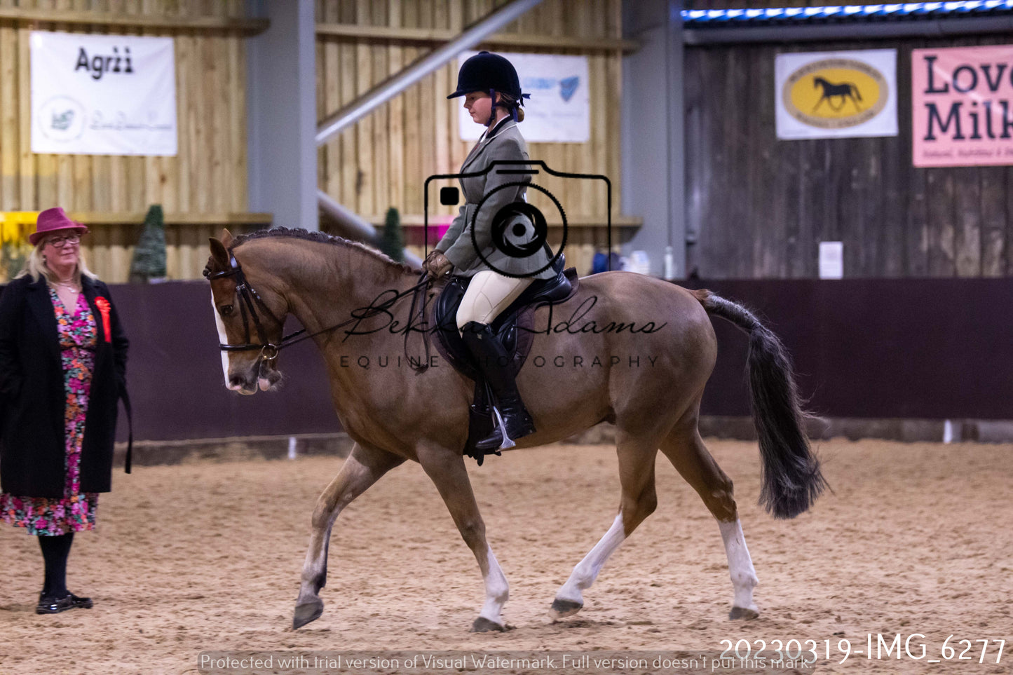 Home Farm Showing 19th March (Ridden) Pt 2