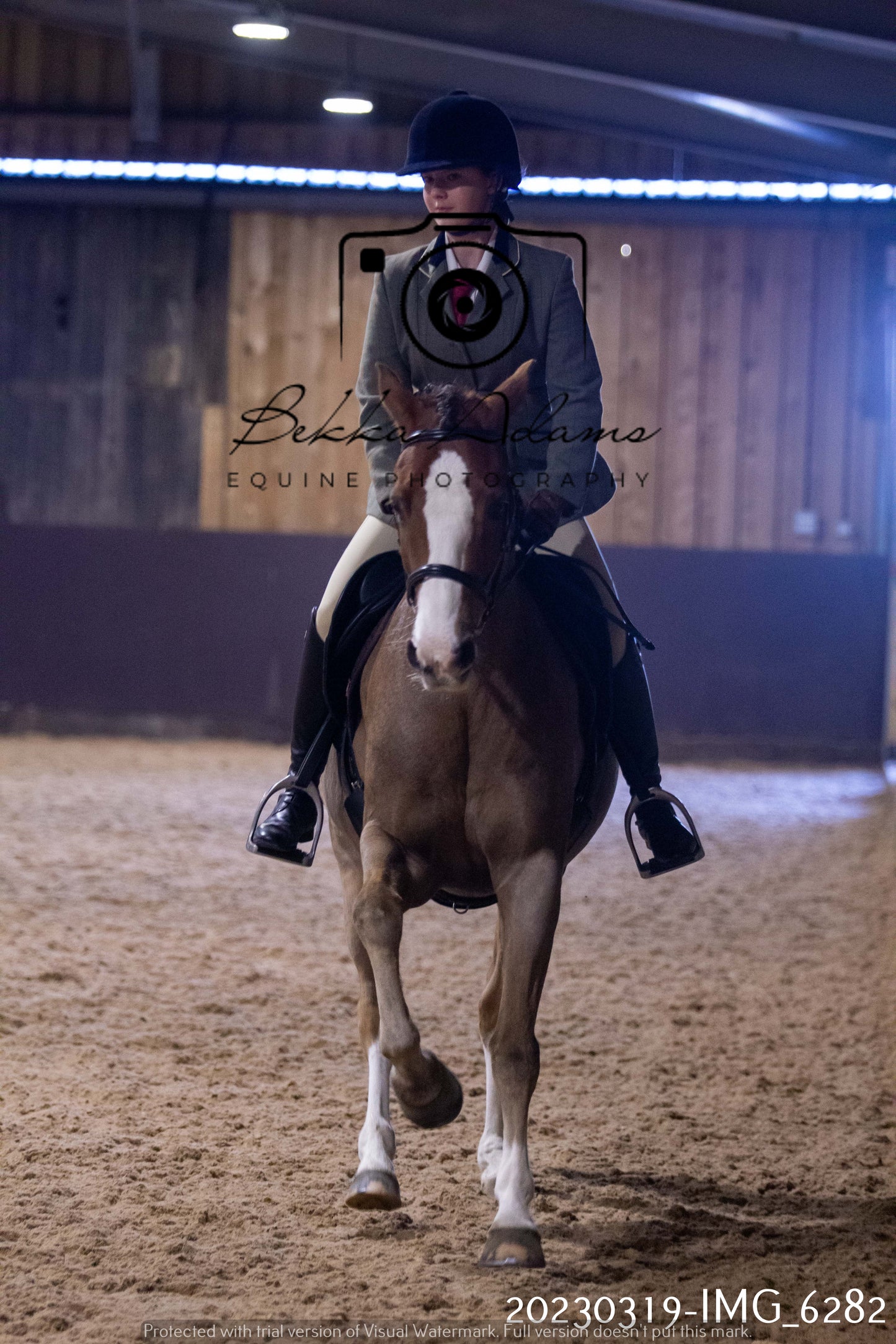Home Farm Showing 19th March (Ridden) Pt 2