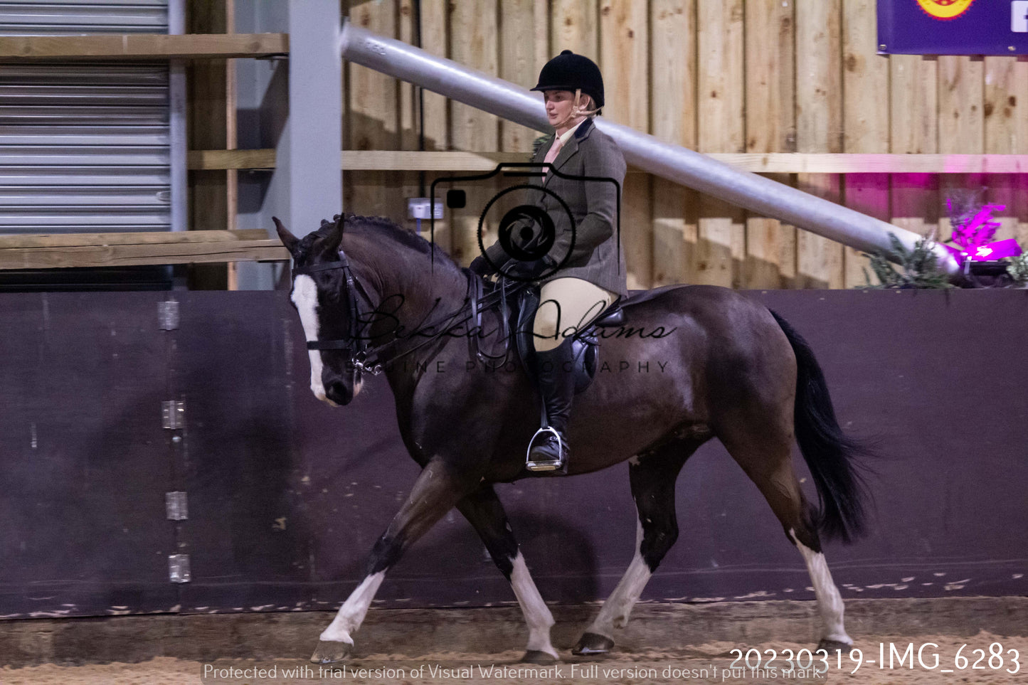 Home Farm Showing 19th March (Ridden) Pt 2