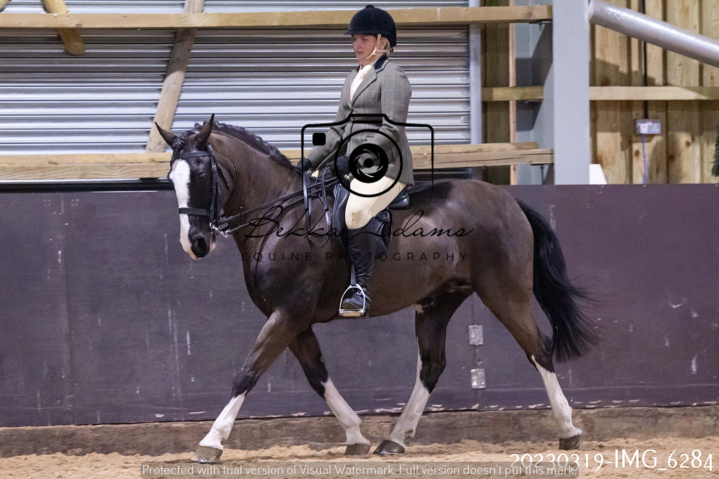 Home Farm Showing 19th March (Ridden) Pt 2