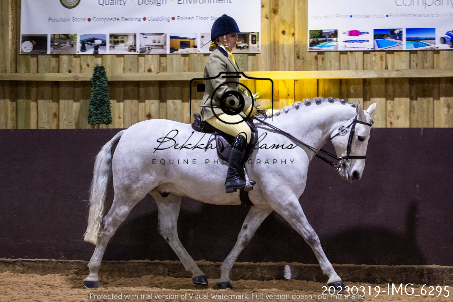 Home Farm Showing 19th March (Ridden) Pt 2