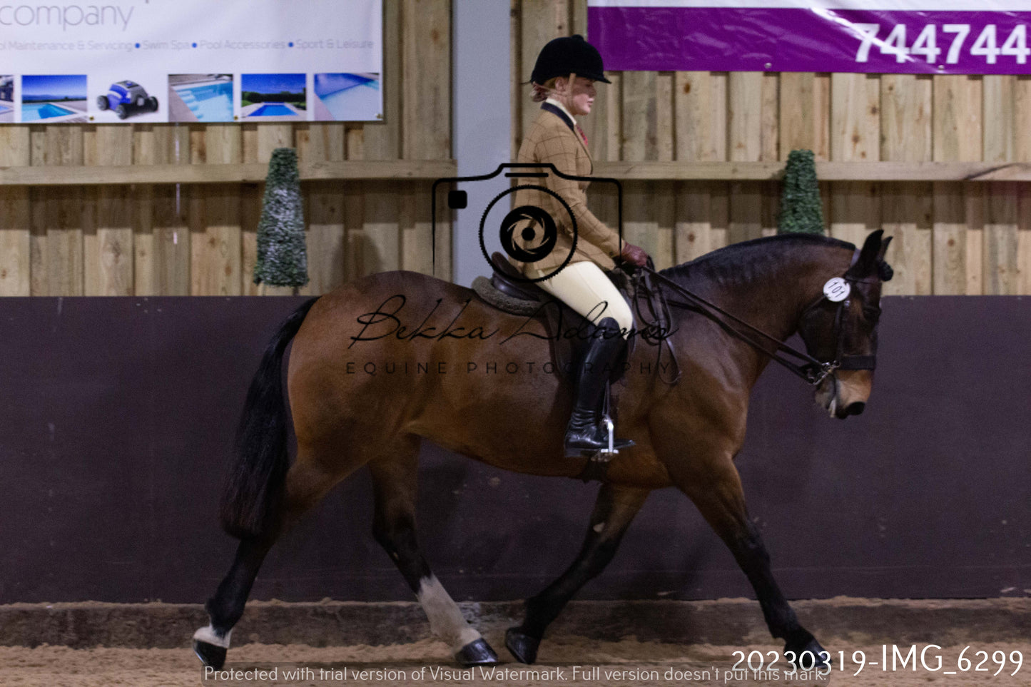 Home Farm Showing 19th March (Ridden) Pt 2