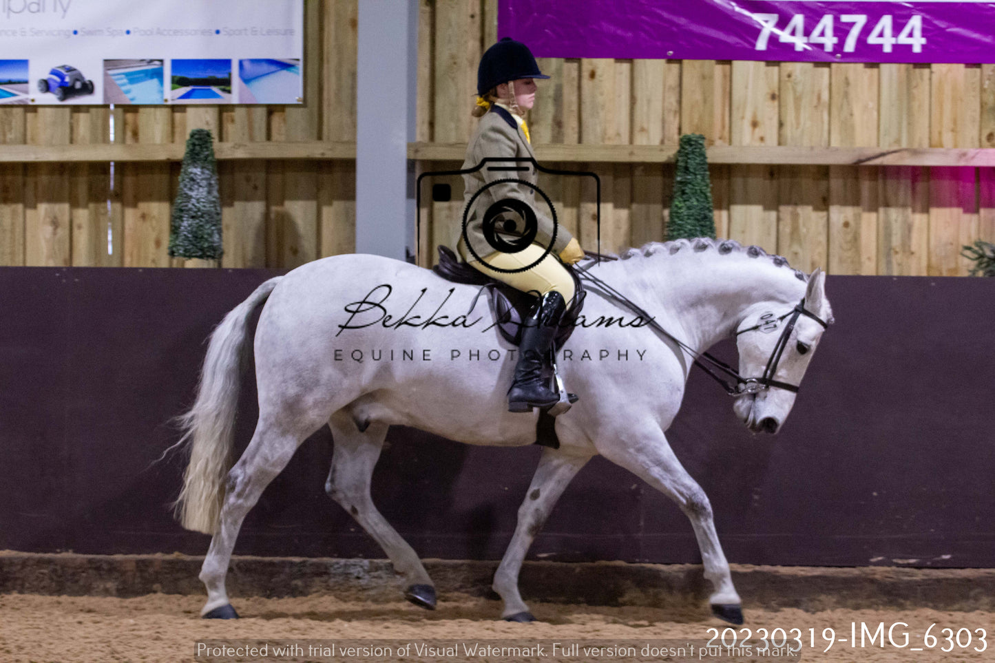 Home Farm Showing 19th March (Ridden) Pt 2