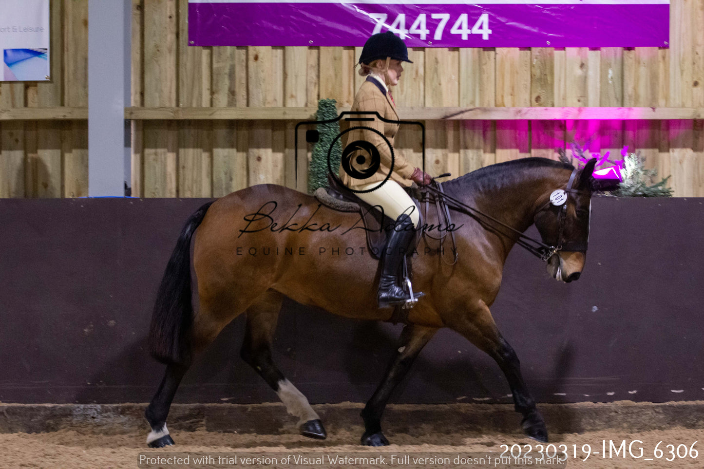 Home Farm Showing 19th March (Ridden) Pt 2