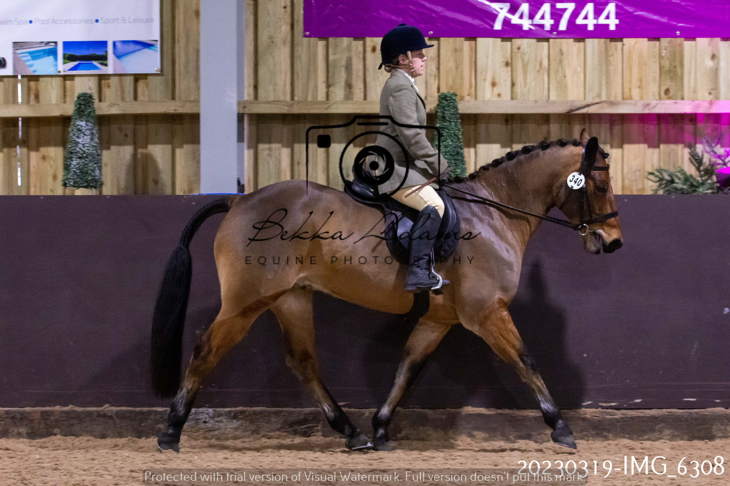 Home Farm Showing 19th March (Ridden) Pt 2