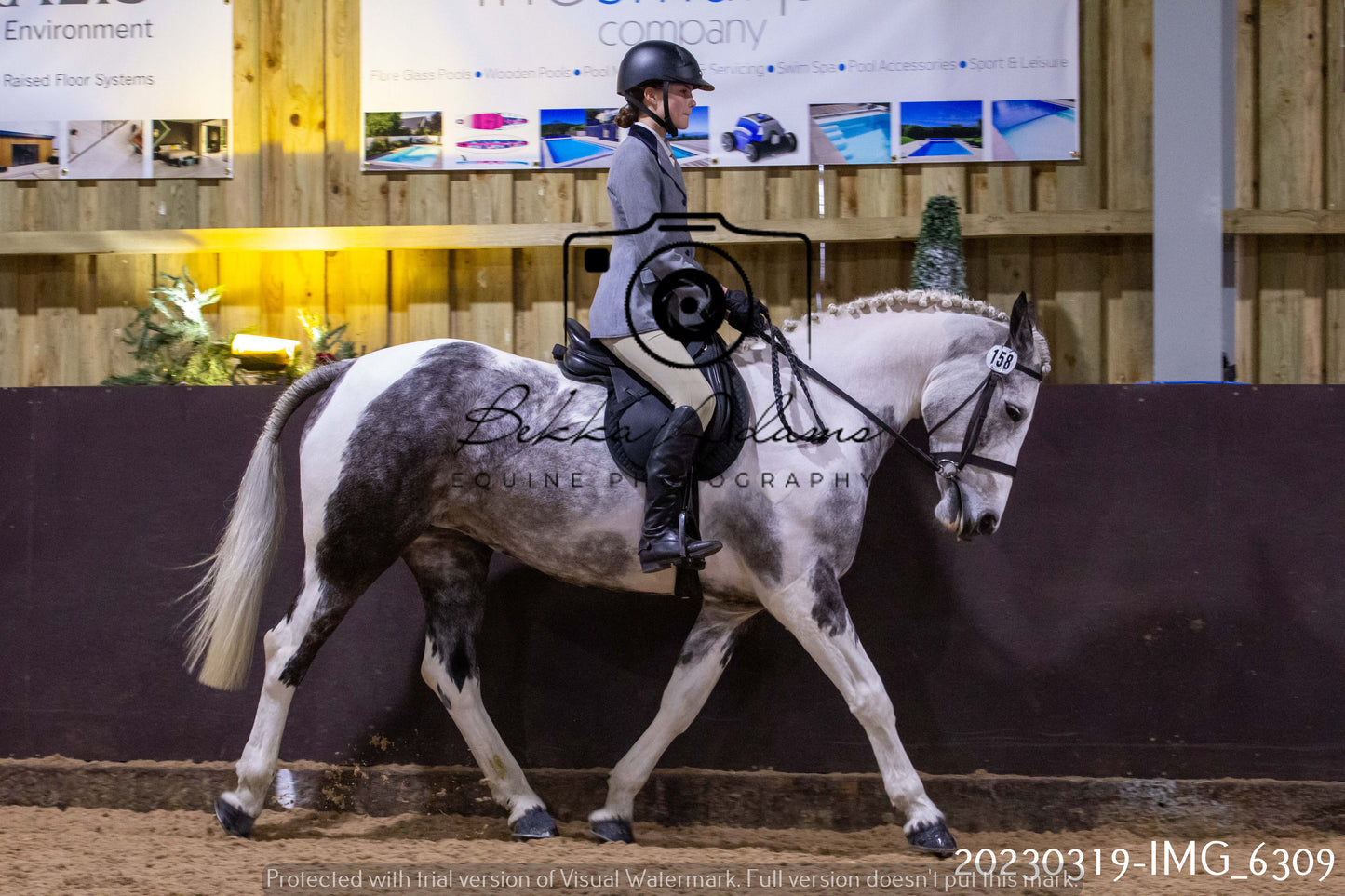 Home Farm Showing 19th March (Ridden) Pt 2