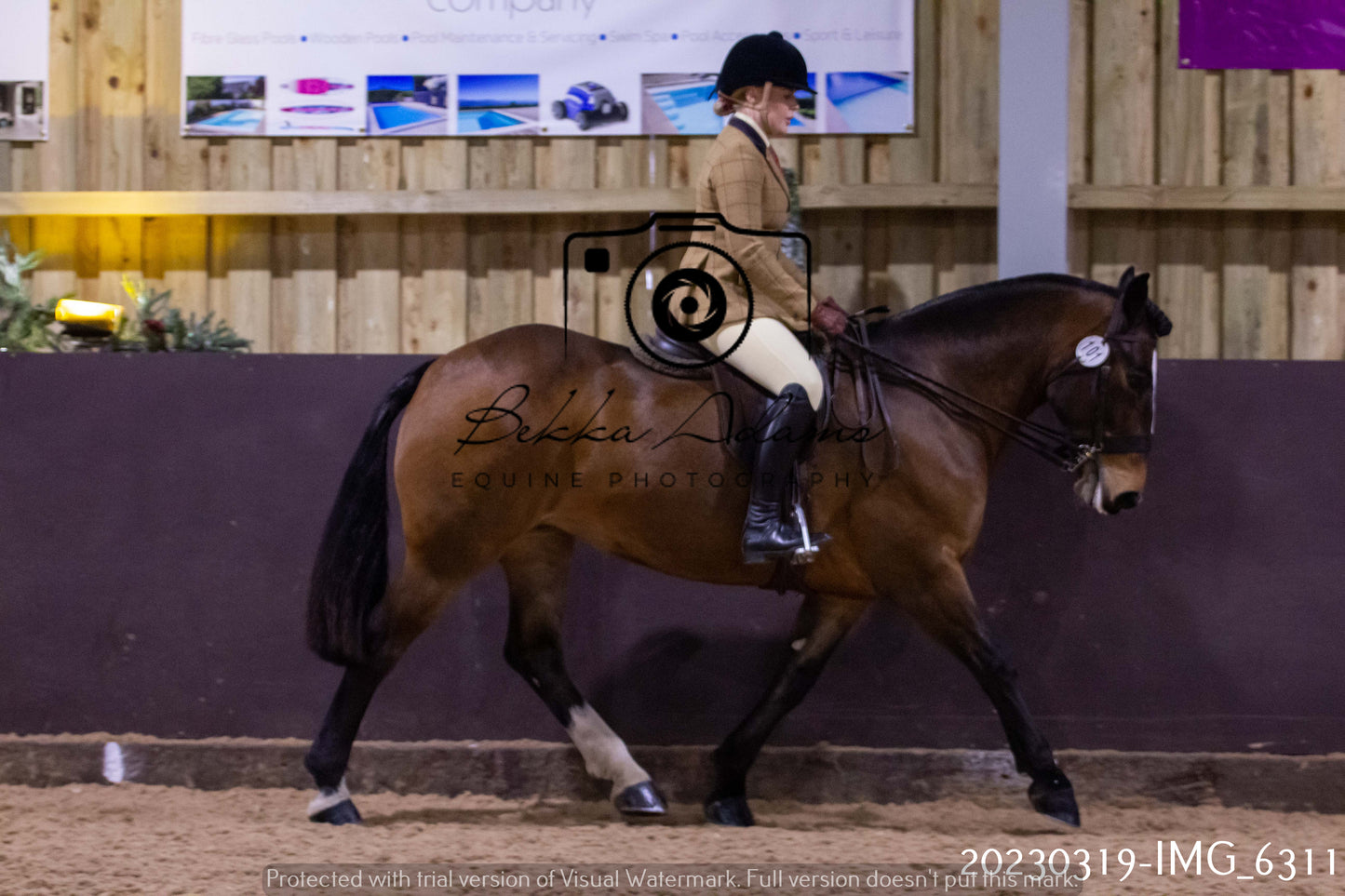 Home Farm Showing 19th March (Ridden) Pt 2