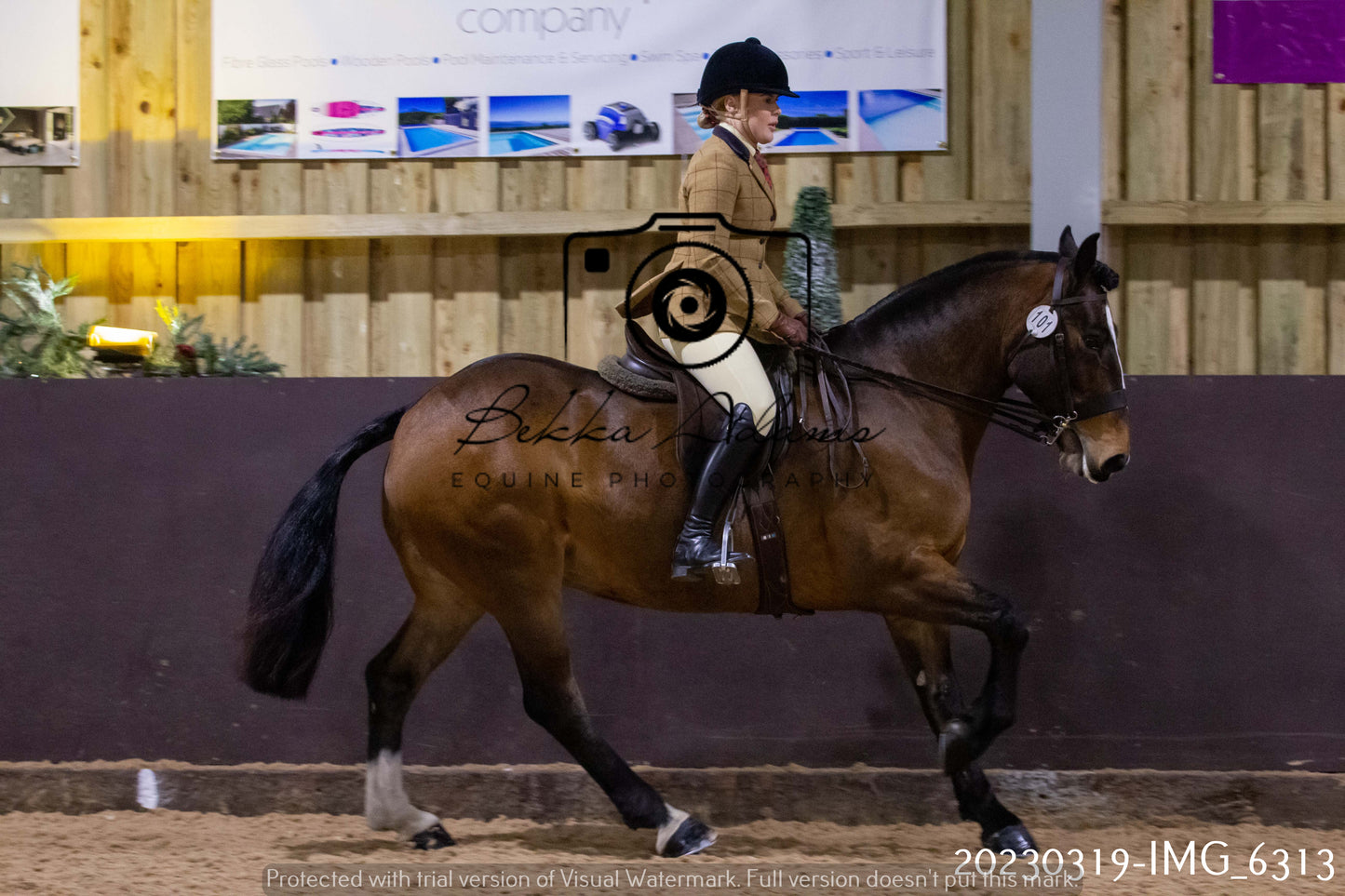 Home Farm Showing 19th March (Ridden) Pt 2