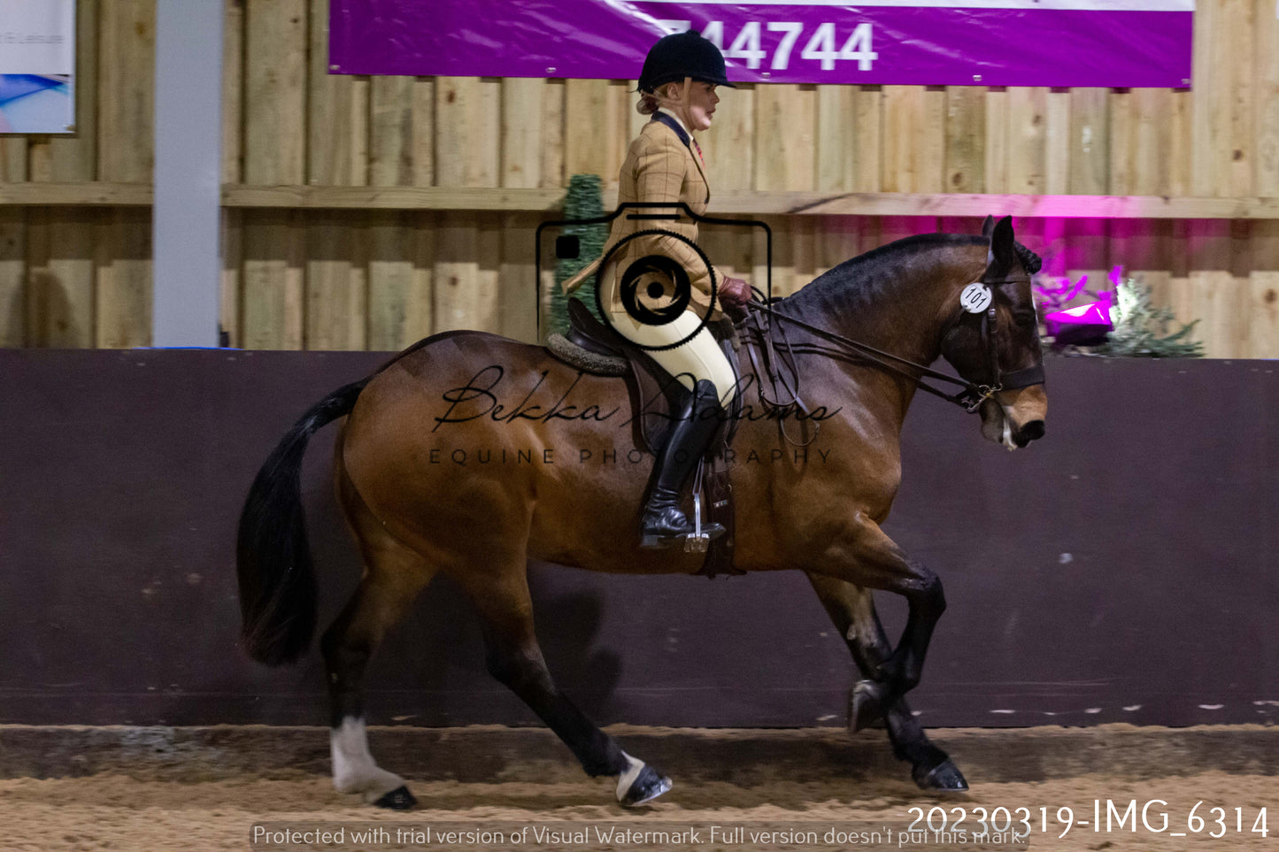 Home Farm Showing 19th March (Ridden) Pt 2