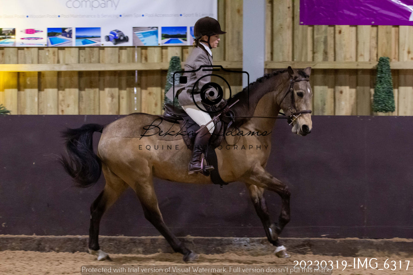 Home Farm Showing 19th March (Ridden) Pt 2