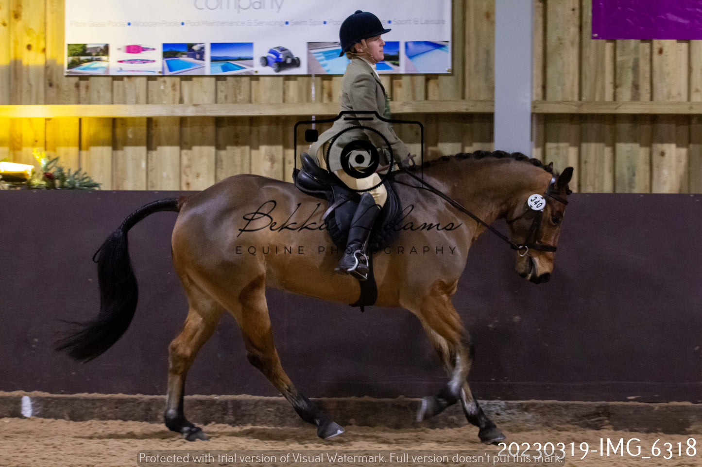 Home Farm Showing 19th March (Ridden) Pt 2