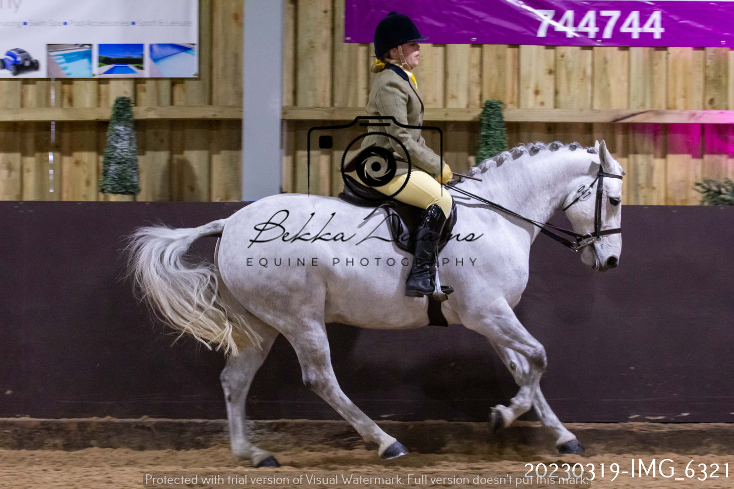 Home Farm Showing 19th March (Ridden) Pt 2