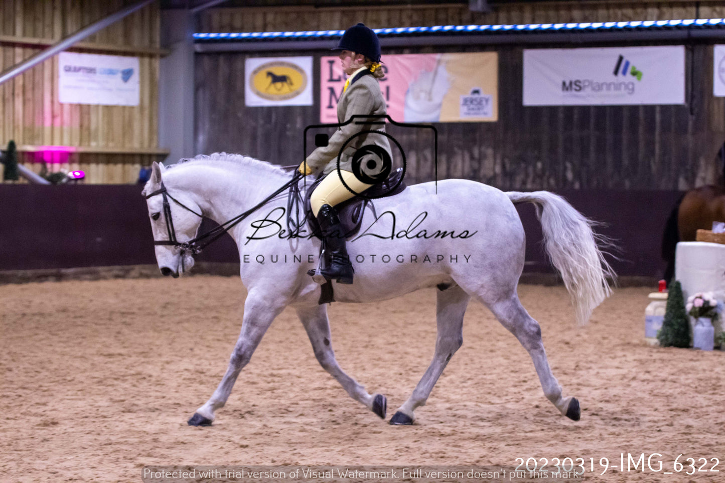 Home Farm Showing 19th March (Ridden) Pt 2