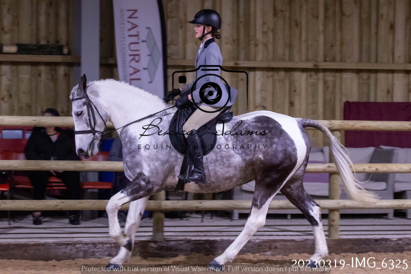 Home Farm Showing 19th March (Ridden) Pt 2