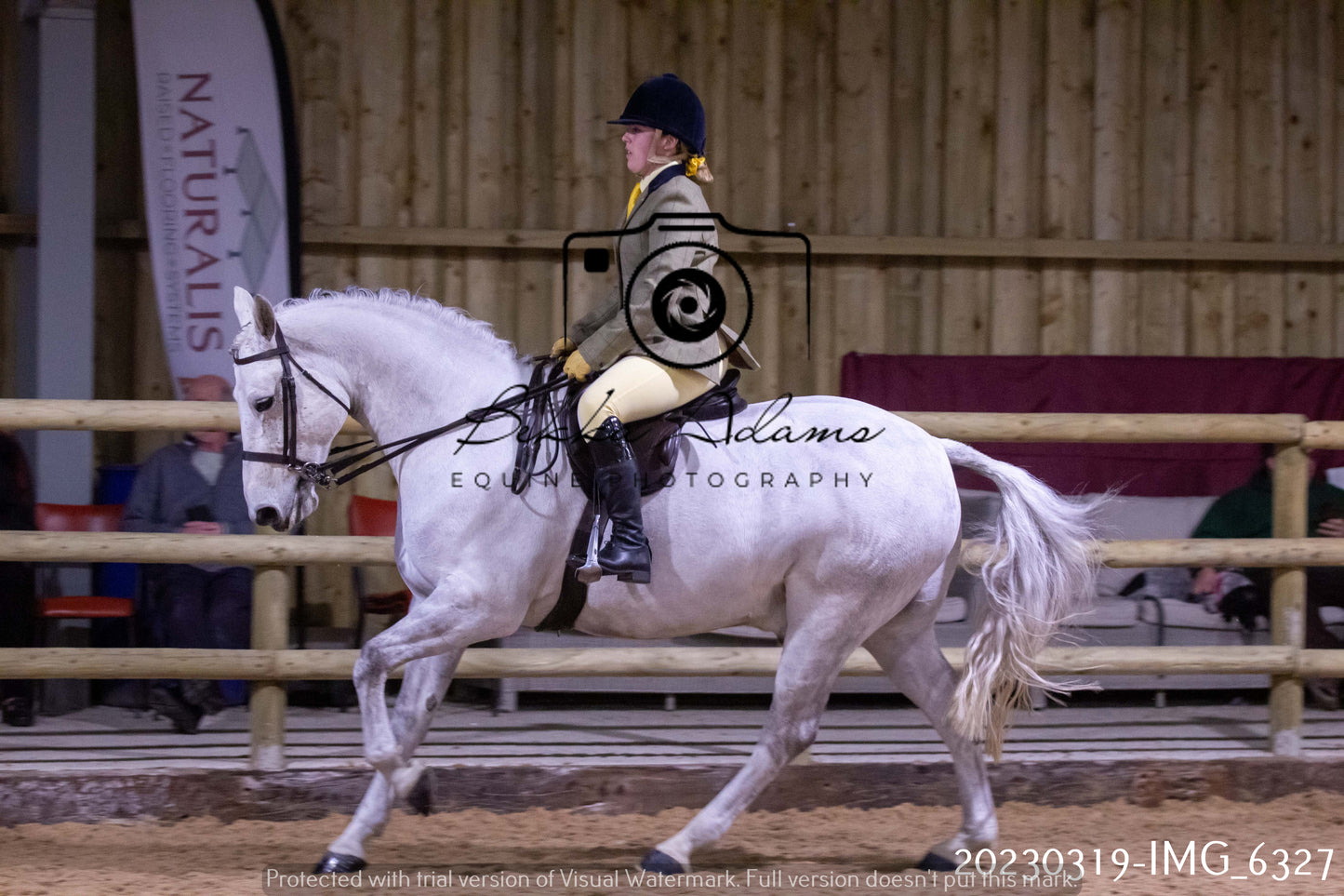 Home Farm Showing 19th March (Ridden) Pt 2