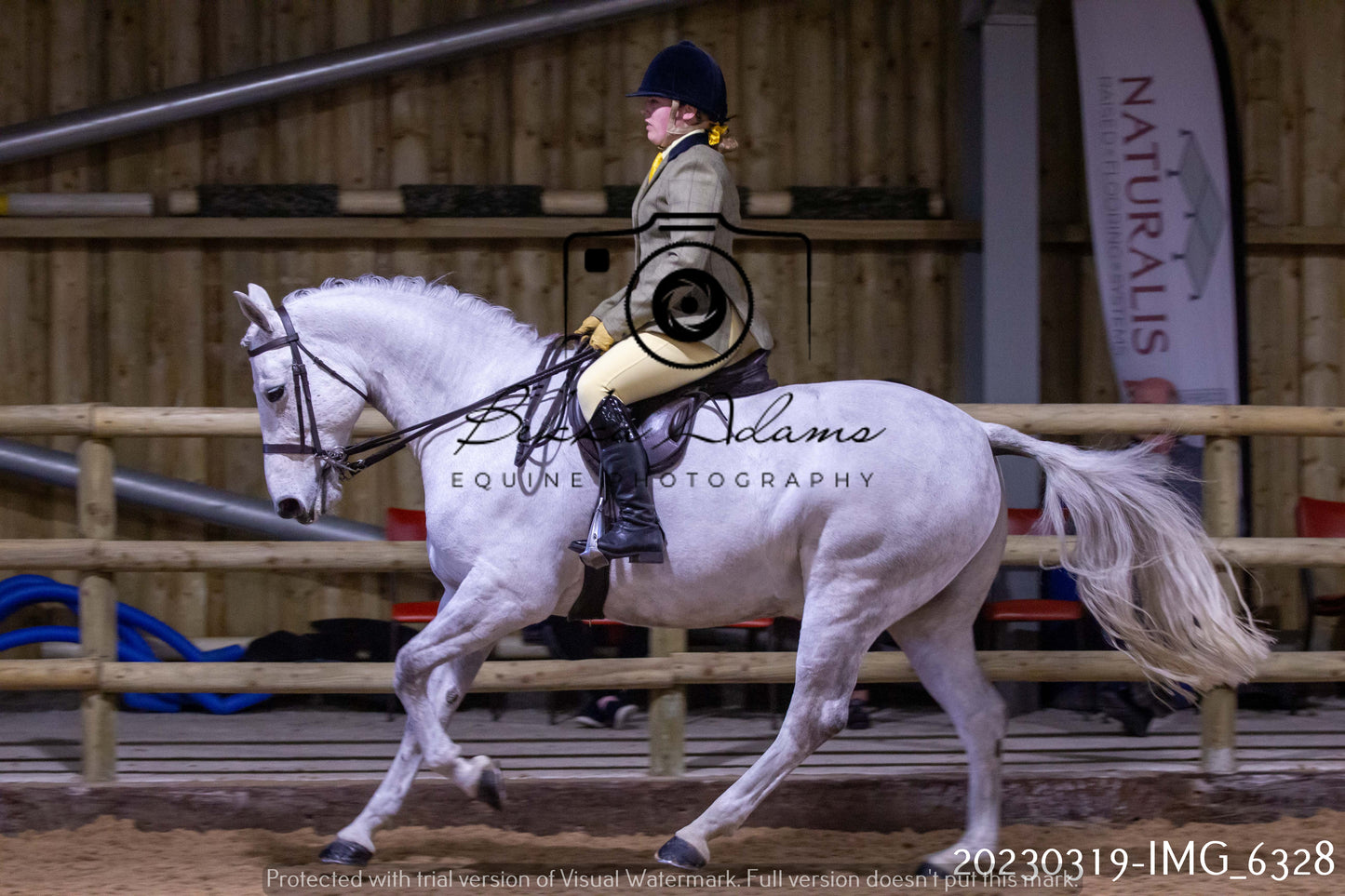 Home Farm Showing 19th March (Ridden) Pt 2