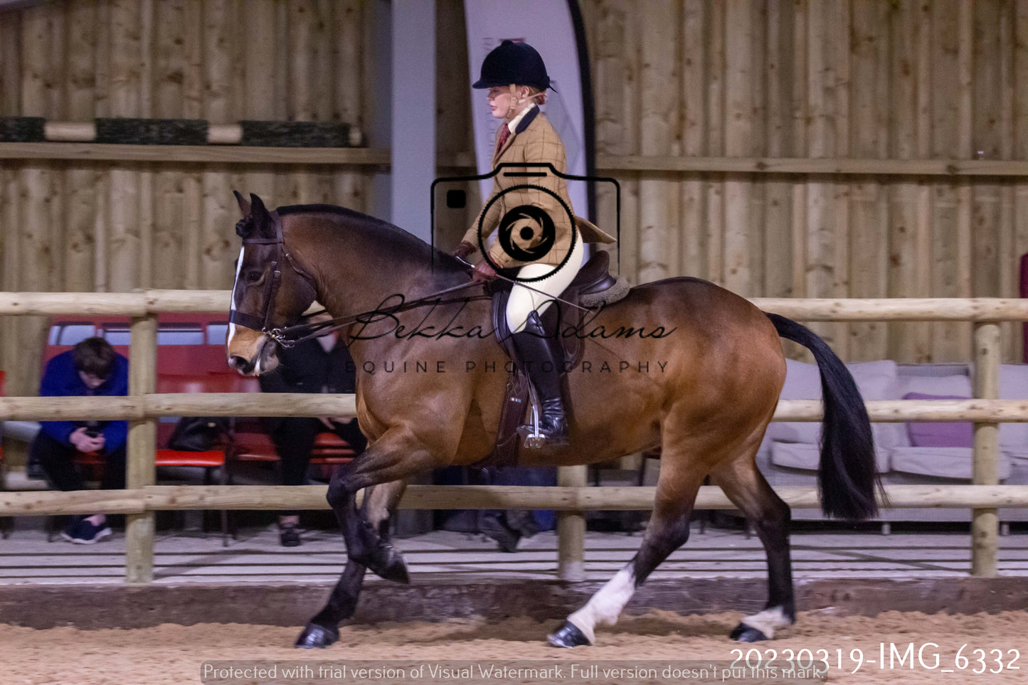 Home Farm Showing 19th March (Ridden) Pt 2