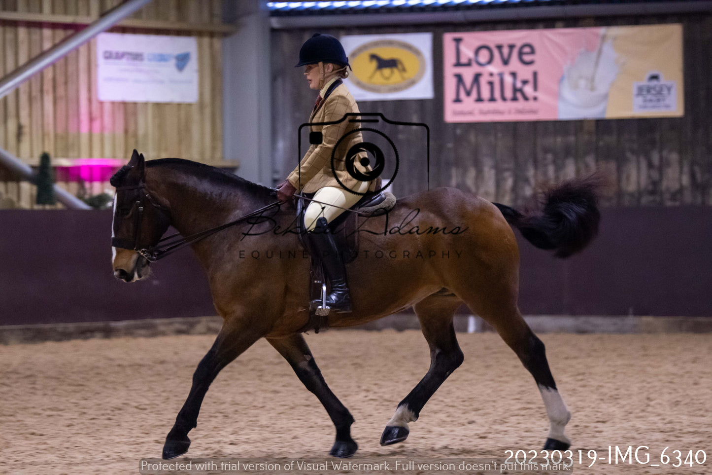 Home Farm Showing 19th March (Ridden) Pt 2