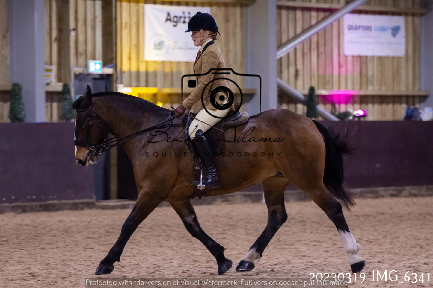 Home Farm Showing 19th March (Ridden) Pt 2