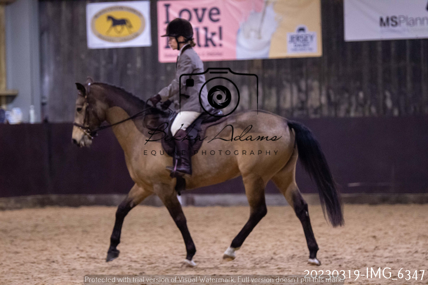 Home Farm Showing 19th March (Ridden) Pt 2