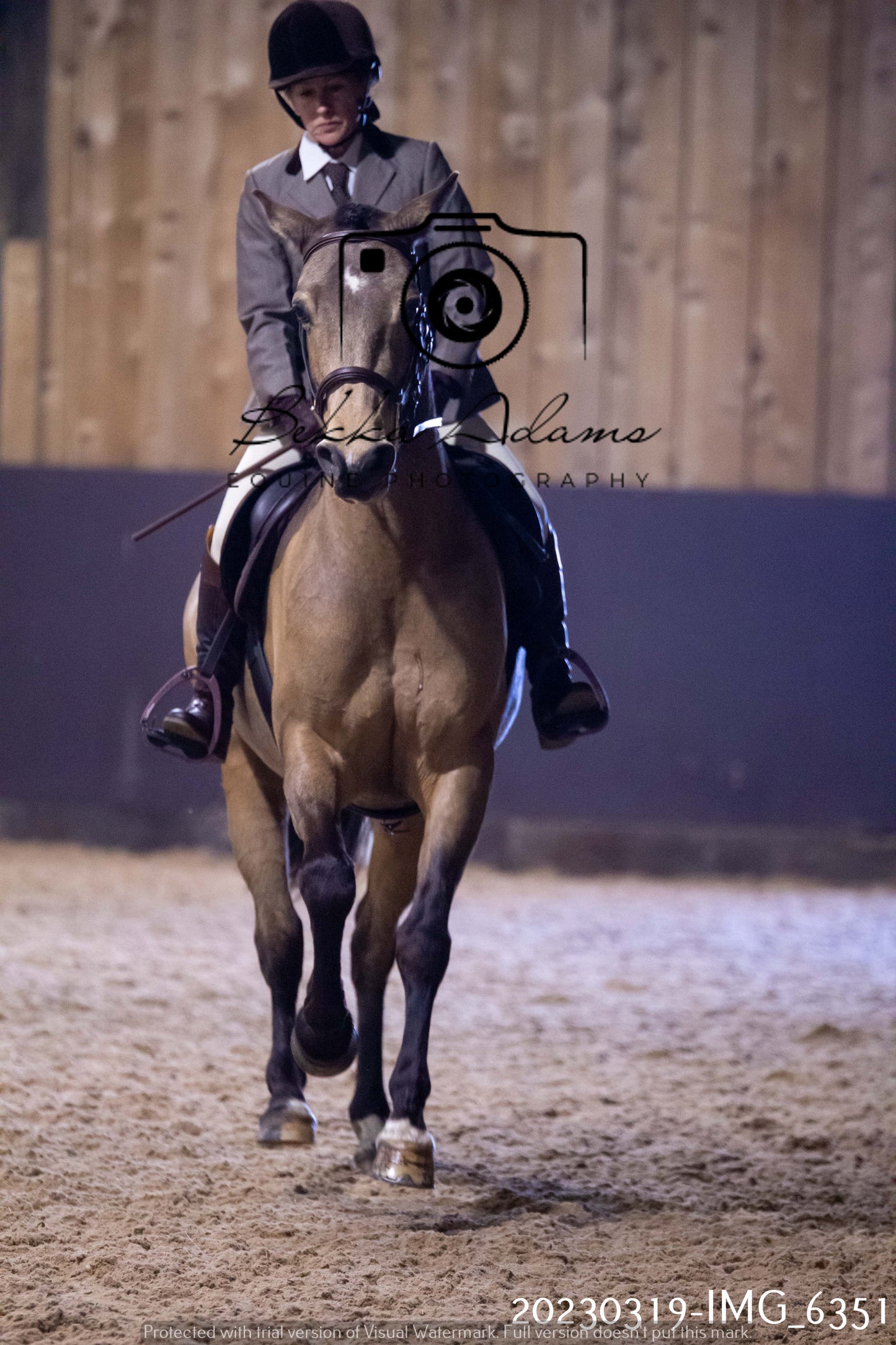 Home Farm Showing 19th March (Ridden) Pt 2