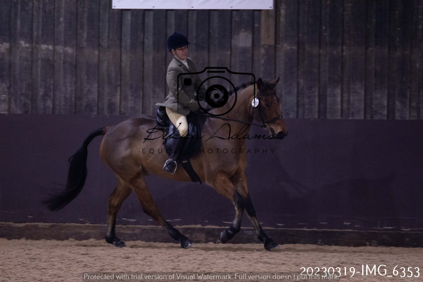 Home Farm Showing 19th March (Ridden) Pt 2