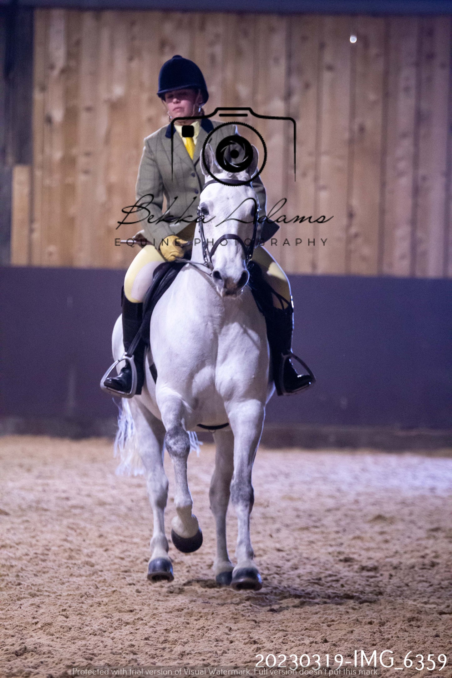 Home Farm Showing 19th March (Ridden) Pt 2