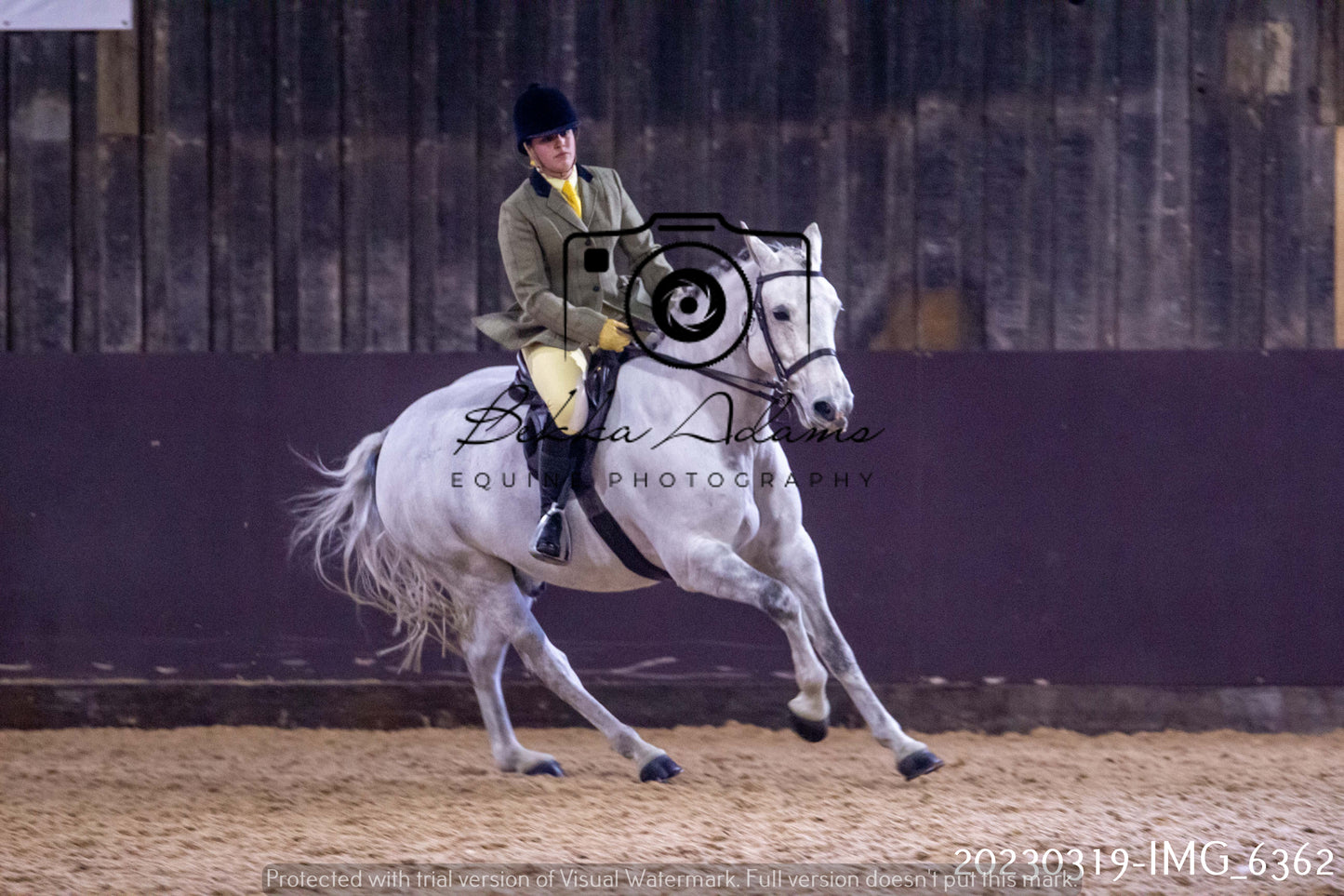 Home Farm Showing 19th March (Ridden) Pt 2