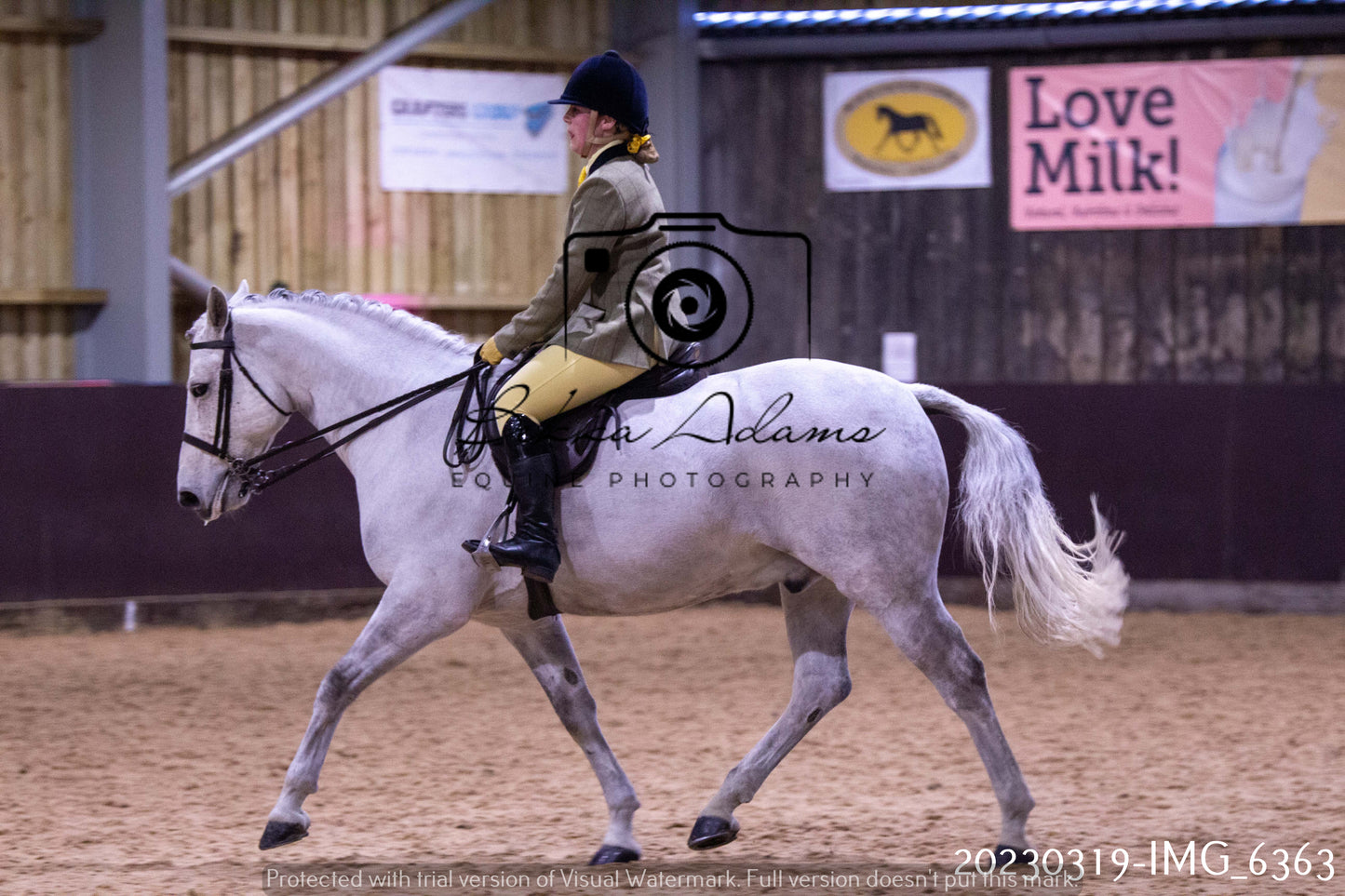 Home Farm Showing 19th March (Ridden) Pt 2