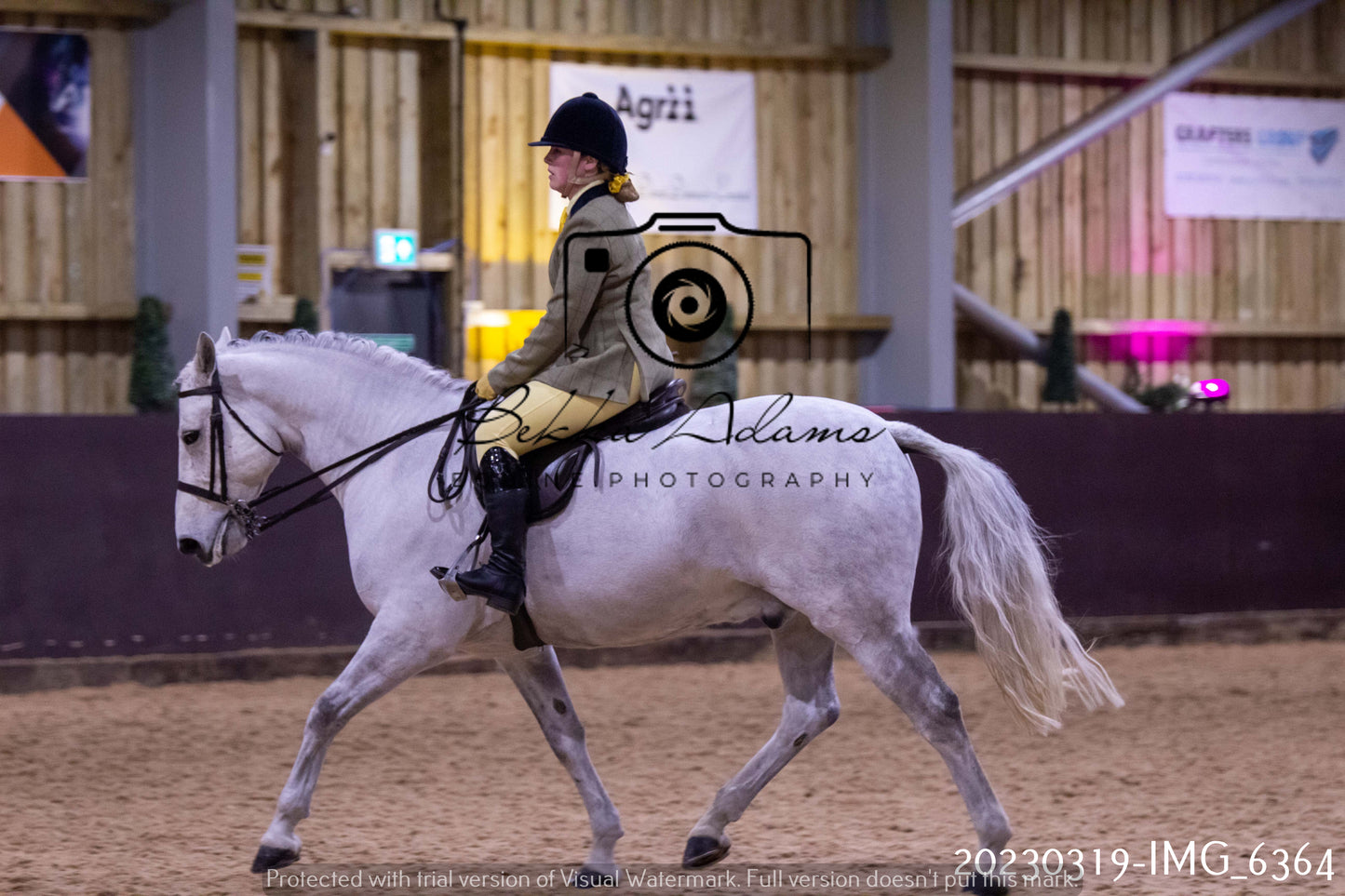 Home Farm Showing 19th March (Ridden) Pt 2